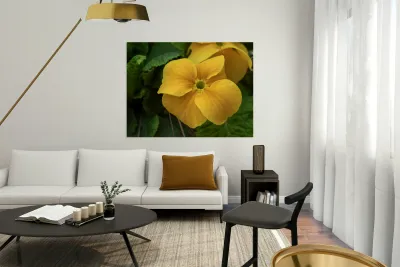 Call me Viola Reproduction