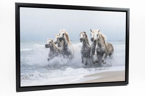 White Metal Print with Floating Frame