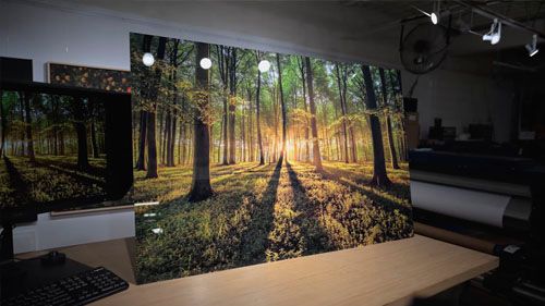 Acrylic Print