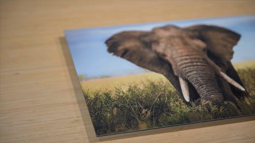 White Metal Print