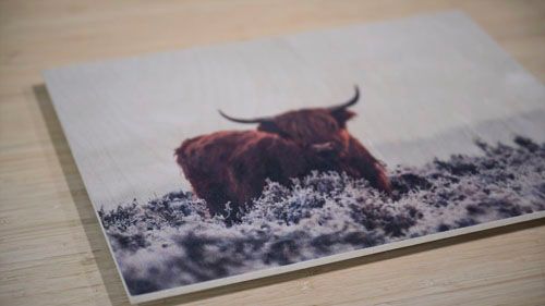 Wood Print