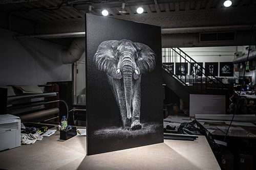 Canvas Print