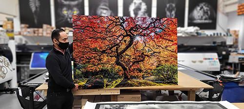 Acrylic Print