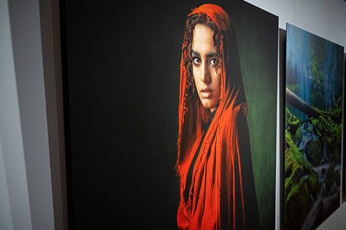 Canvas Print