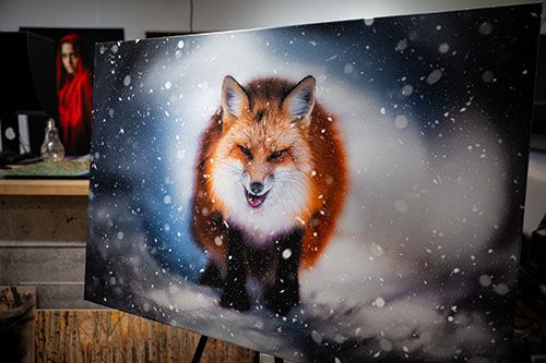 Canvas Print