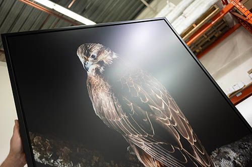 Acrylic Print Non Glare