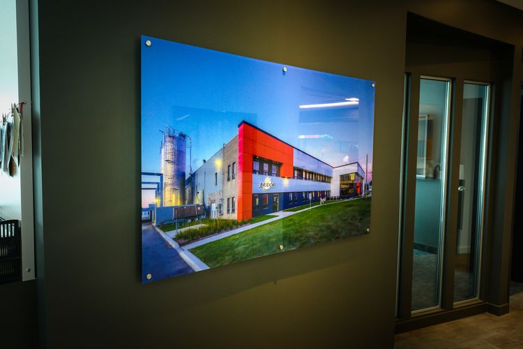 THE DIFFERENT APPLICATIONS OF CUSTOM PRINTS IN THE WORKPLACE