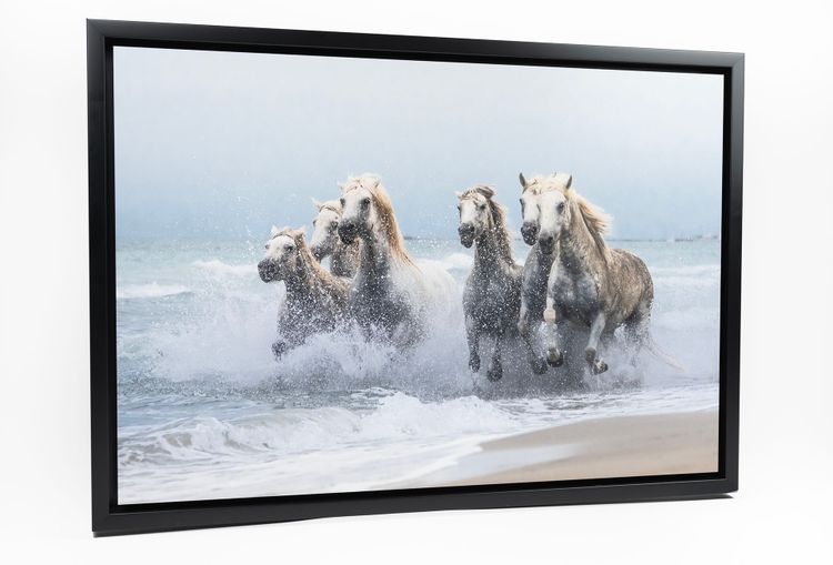 White Metal Print with Floating Frame