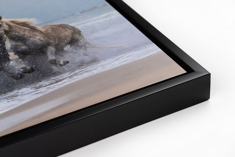 White Metal Print with Floating Frame