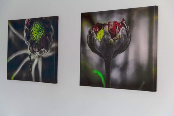 Canvas Print