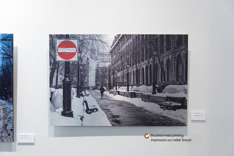 Metal Print