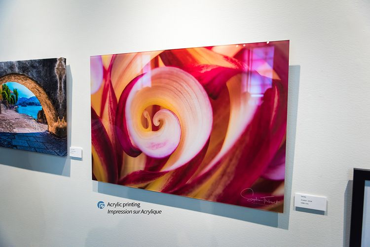 Acrylic Print