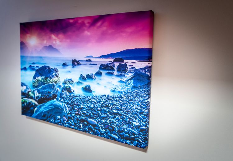 Canvas Print