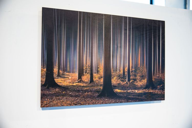 Wood print