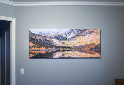Canvas Print
