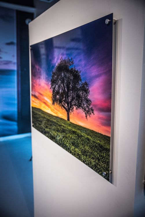 Acrylic Print