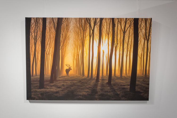 Canvas Print