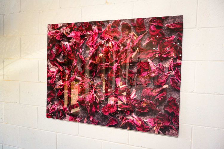 HD Metal Print ChromaLuxe