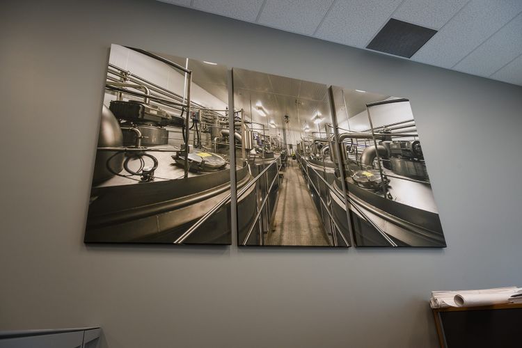 Canvas Print
