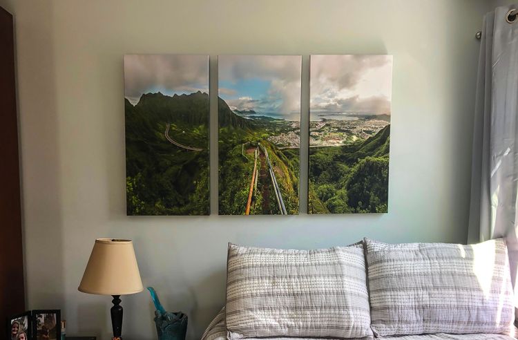 Canvas Print