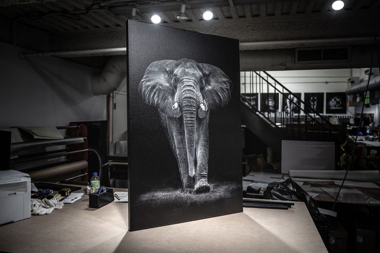 Canvas Print