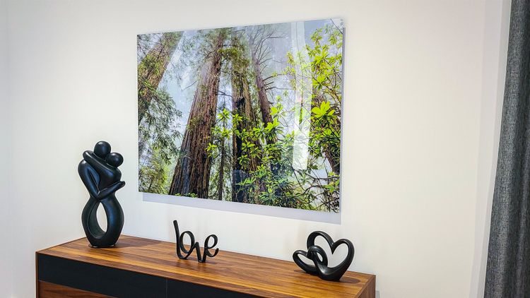 Acrylic Print