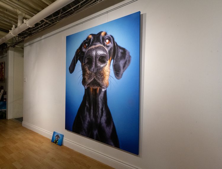 Canvas Print