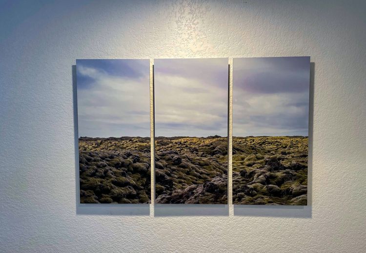White Metal Print