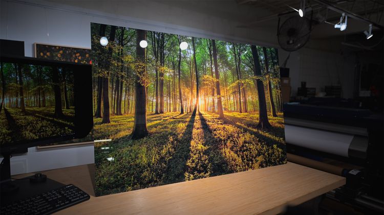 Acrylic Print