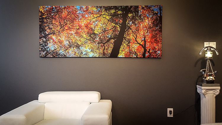 Canvas Print
