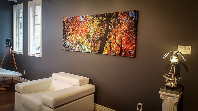 Canvas Print