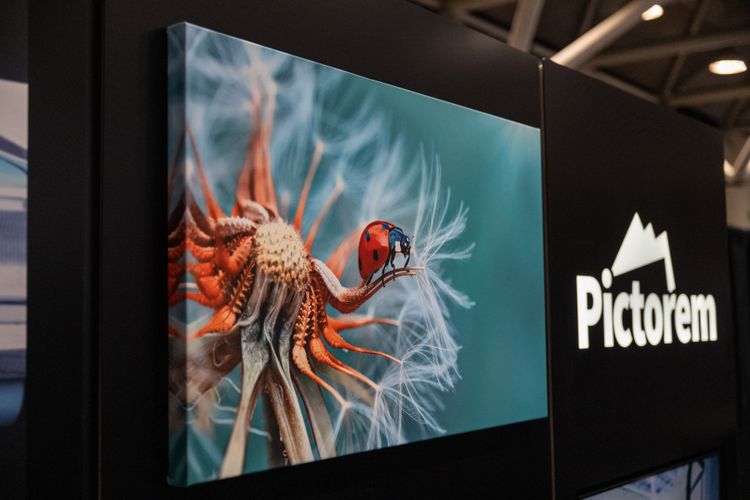 Canvas Print