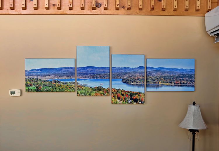 Multi Panel Canvas