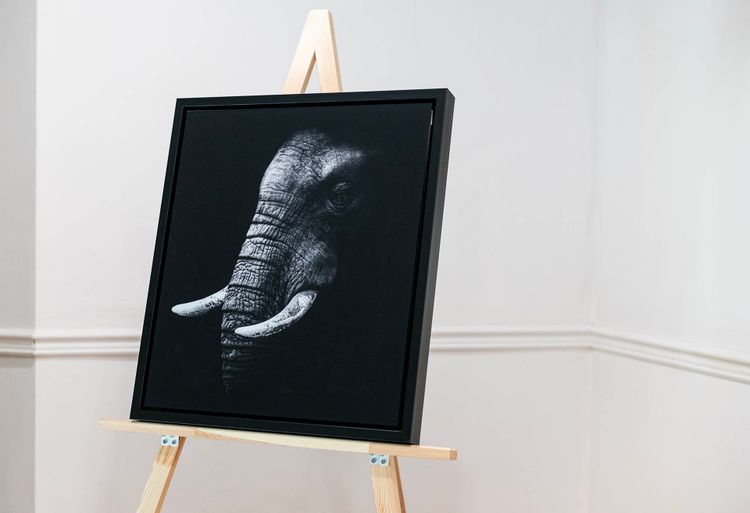 Acrylic Print Non Glare
