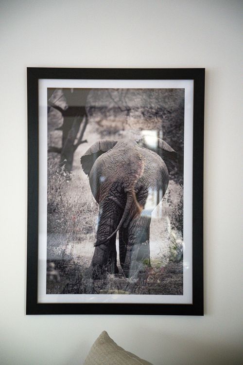 Framed Print