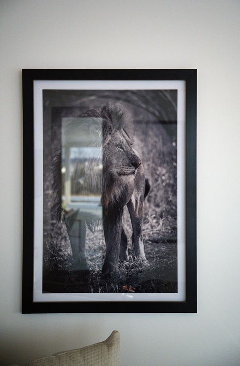 Framed Print