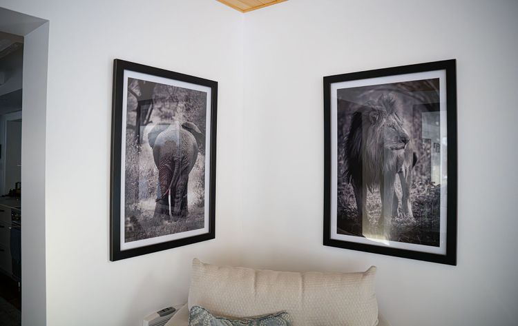 Framed Print