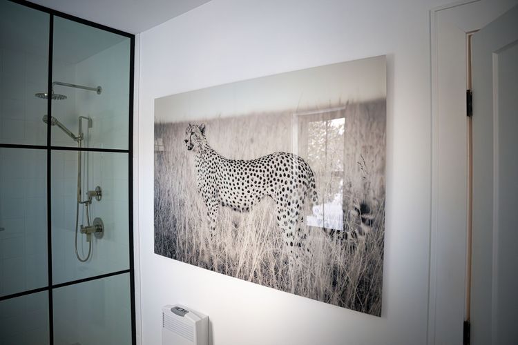 Acrylic Print
