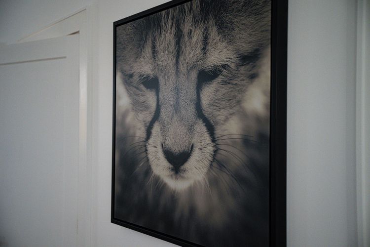 Acrylic Print Non Glare