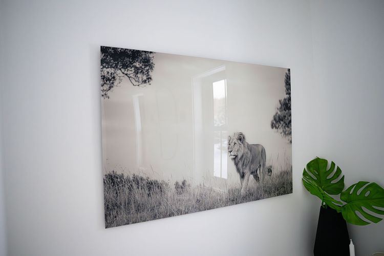Acrylic Print