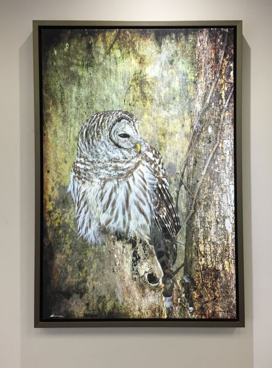 Canvas Print
