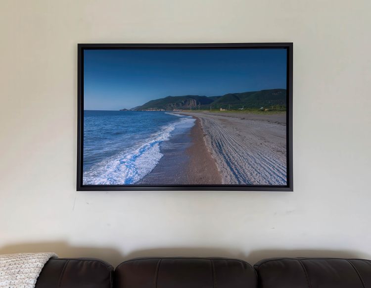 Canvas Print