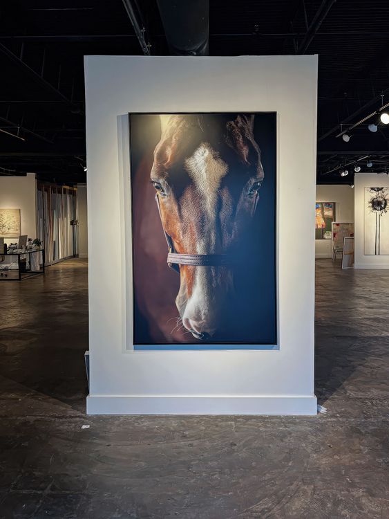 Acrylic Print Non Glare