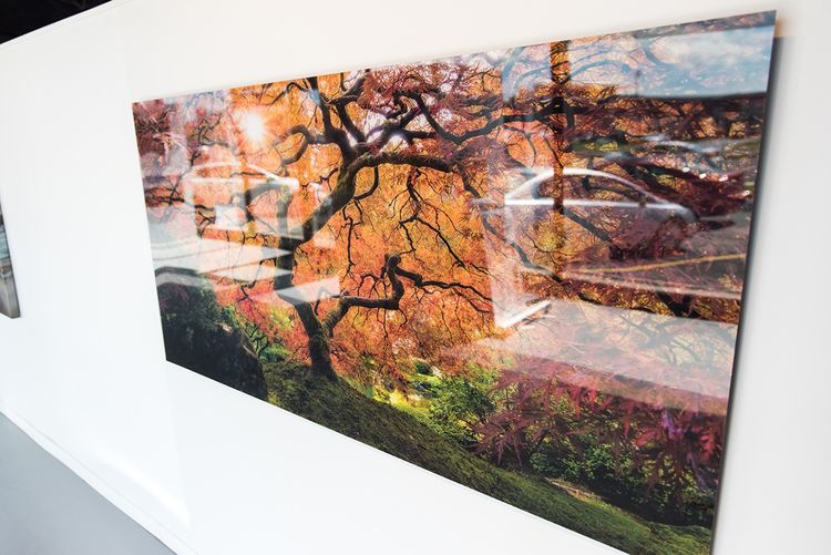Acrylic Print