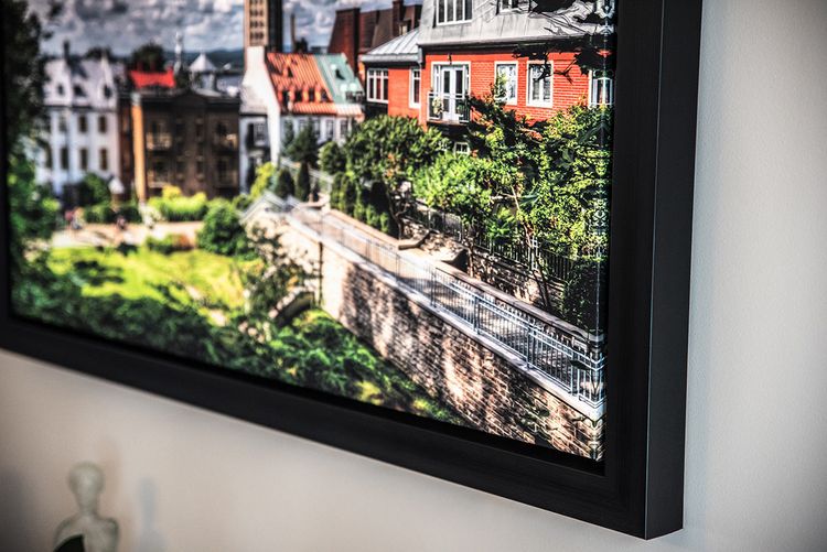 Canvas Print