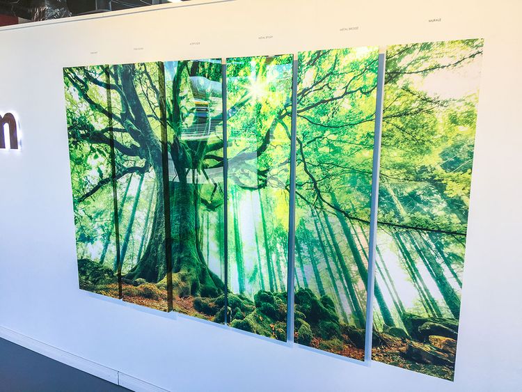 Canvas Print
