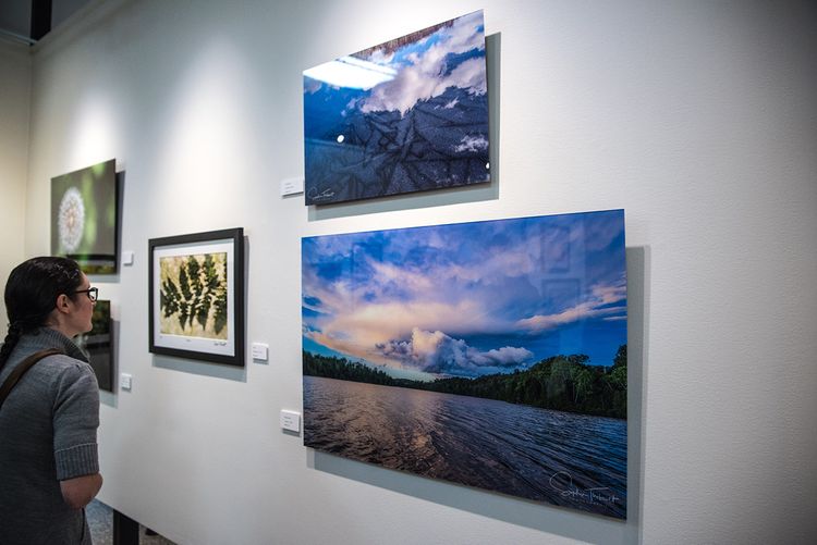 Acrylic Print